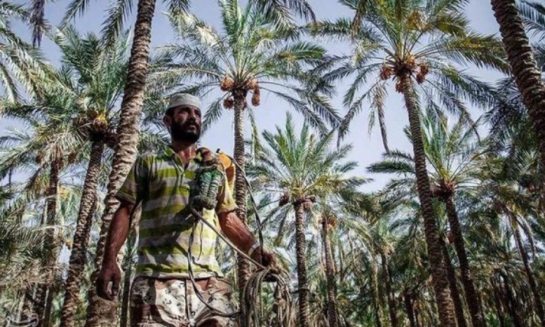 حين قرأتُ الشعرَ بشاديكان